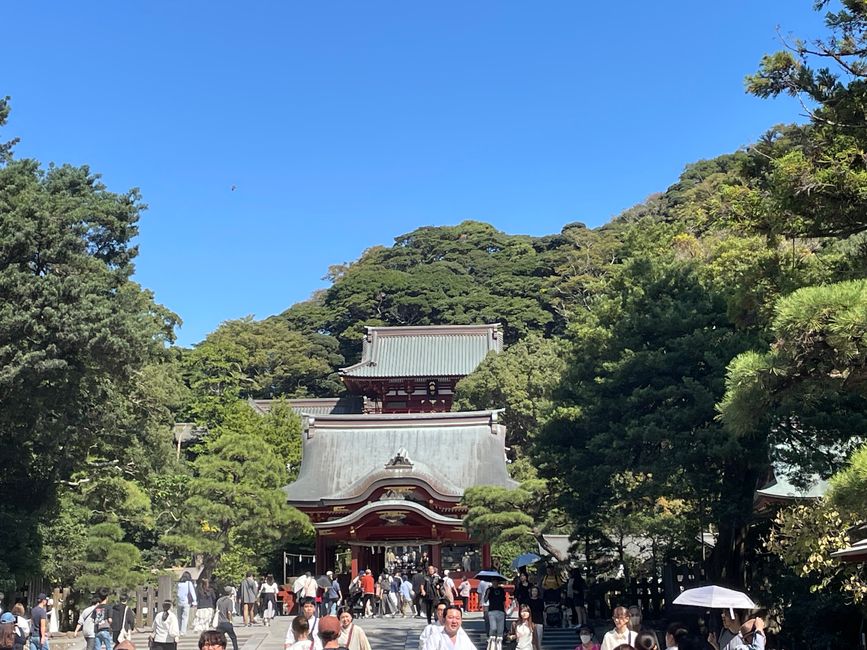 Tagesausflug nach Kamakura