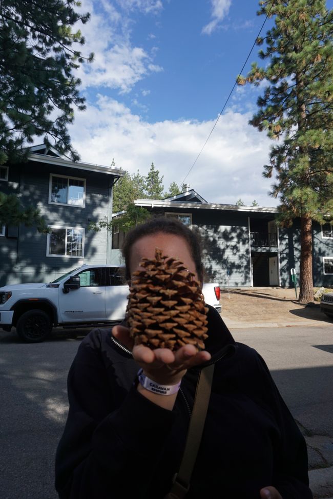 Tag 4 - Angekommen am Lake Tahoe