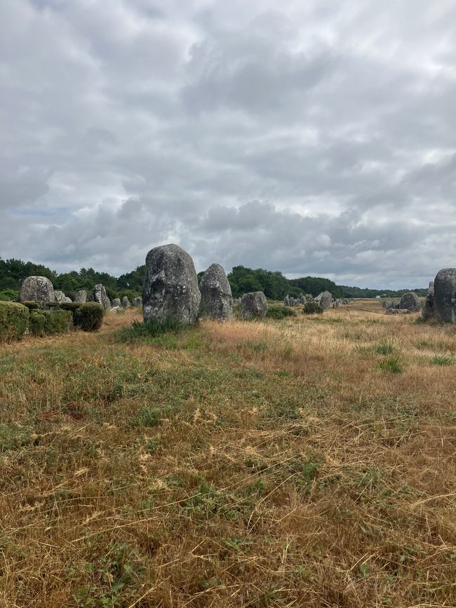 Les Alignements 