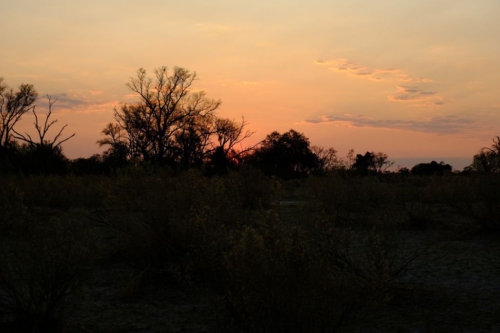 Delta del Okavango 🇧🇼