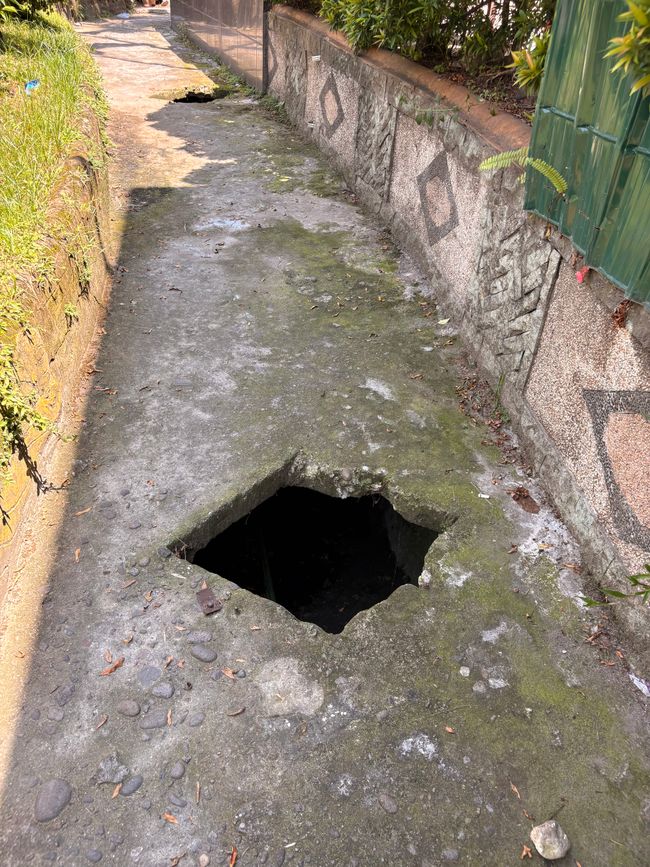 Augen auf beim Spazierebgehen