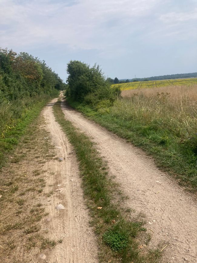 Landregen und Fallada begleiten mich durch die Feldberger Seenlandschaft