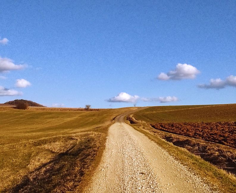 Wir bauen ein Fundament - Horizonte entdecken, Werte checken