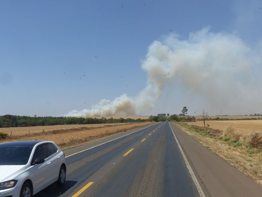 Brazil, refuge near Coxim