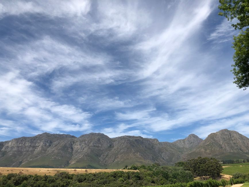 Rust En Vrede Wine Estate