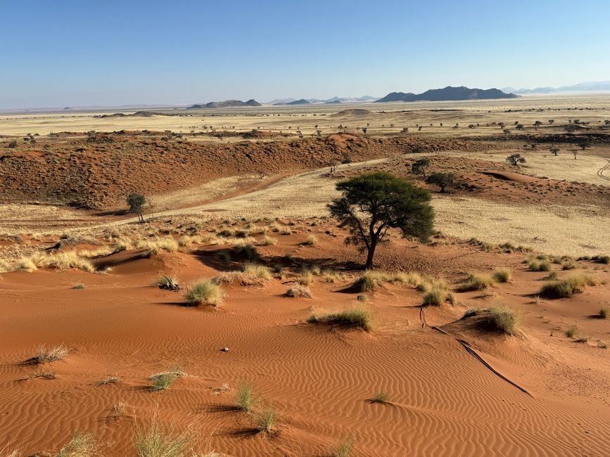 Namibia 2k25 🦓🏜️🐘