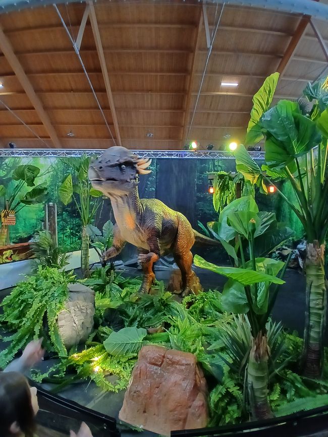 Dino Fever in Friedrichshafen: An Honest Look into the "Kingdom of Dinosaurs"