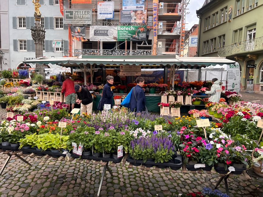 25b Spaziergang durch Freiburg