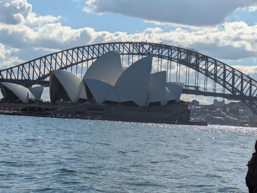 Unsere besten und wahrscheinlich auch einzigen 3 1/2 Tage in Sydney 🌏