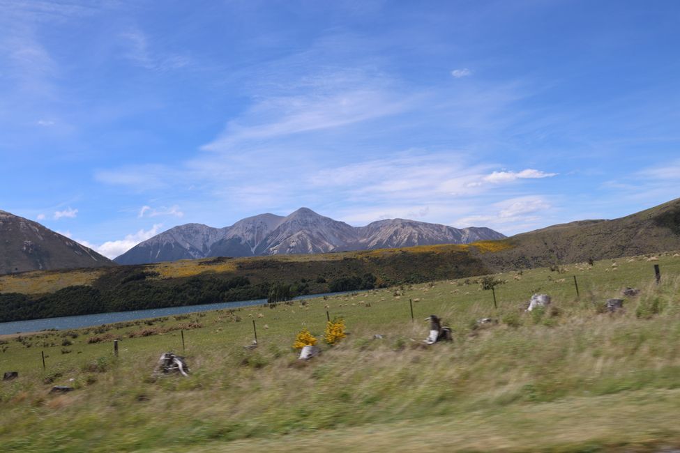 Verso la costa ovest a Westport