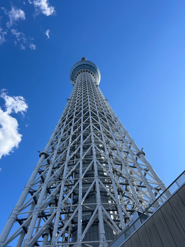 Cesta do Japón