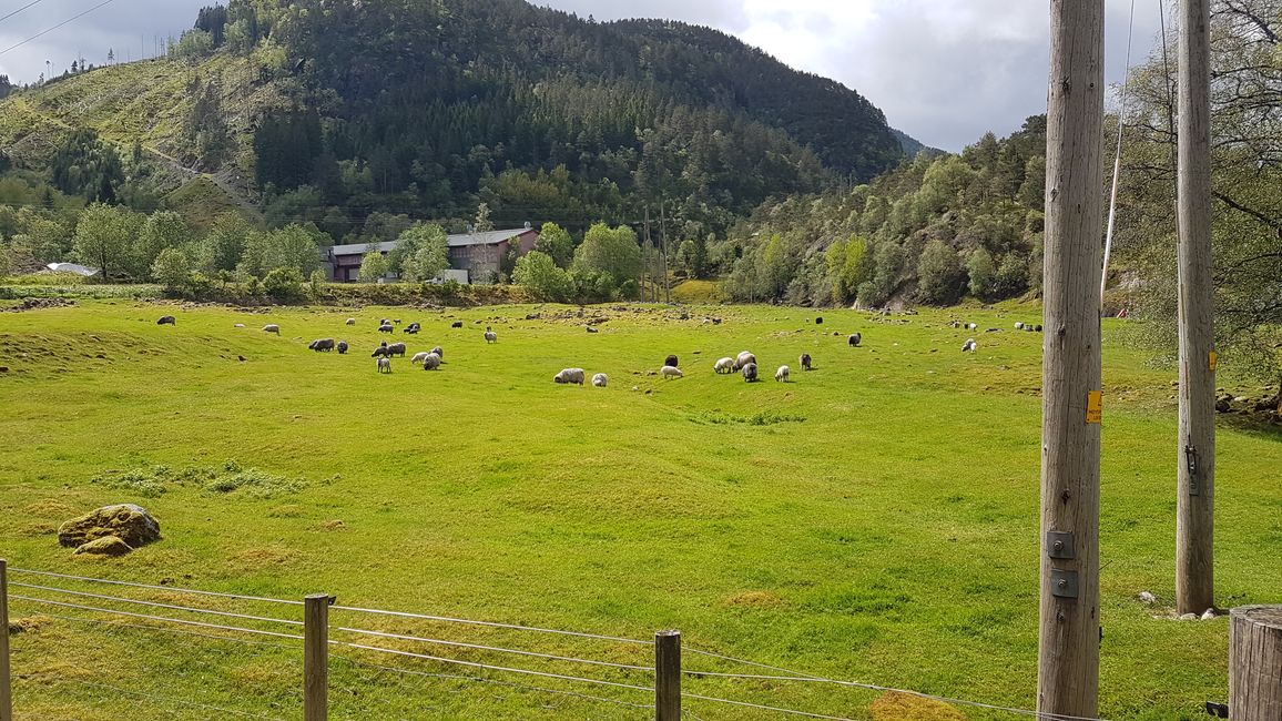 Motorradtour nach Norwegen im Mai 2019
