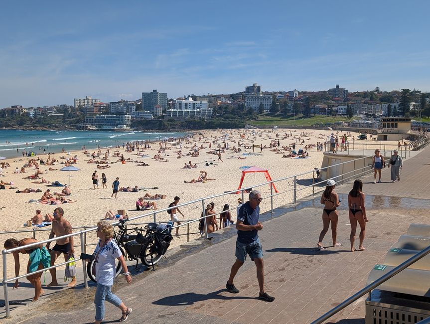 Bondi Beach