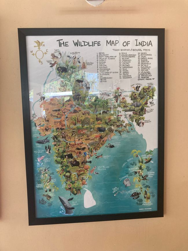 Indien Südreise Teil 2