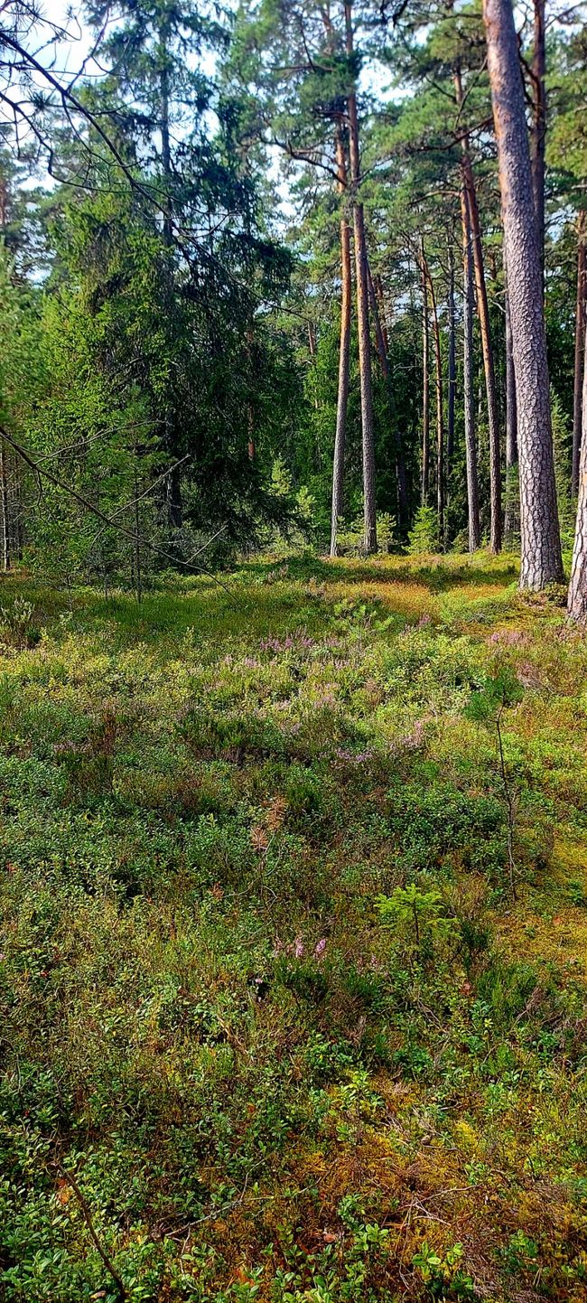 Tage im Nationalpark