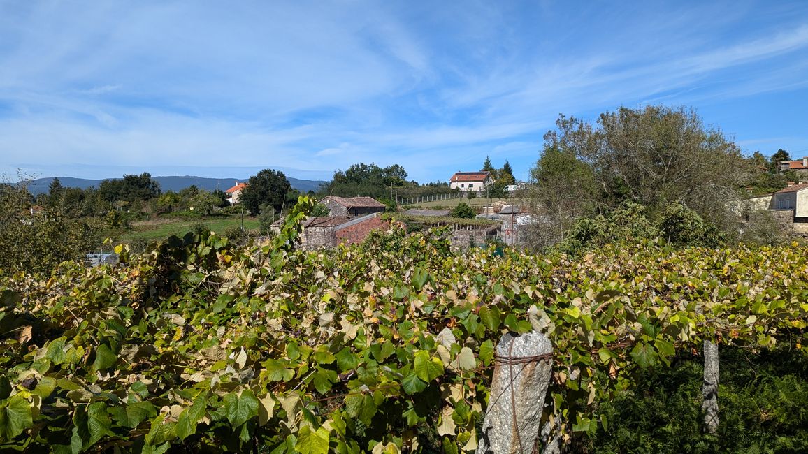 Zwölfte Etappe Camino Portugues von Caldas de Reis nach Padron