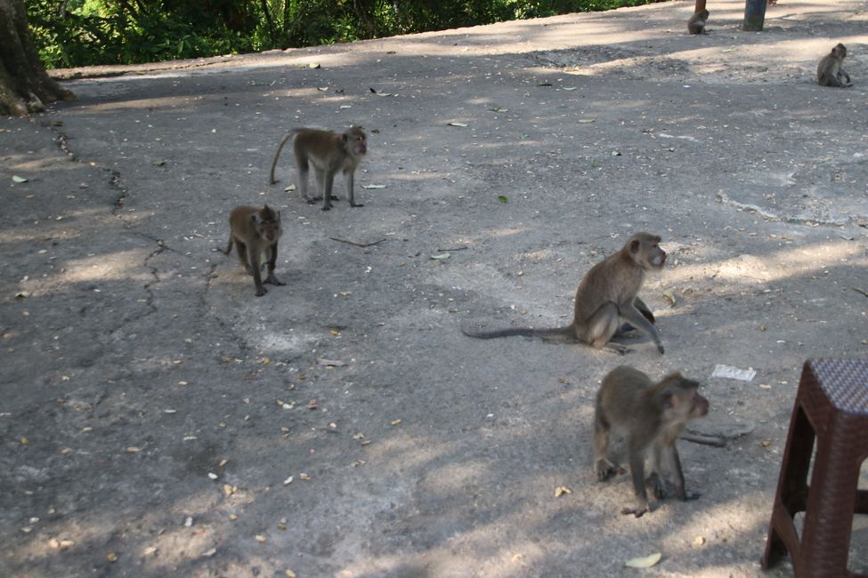Etiqueta 16: En camino por Lombok