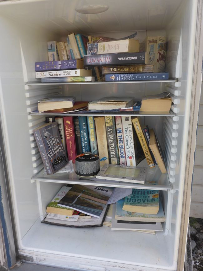 Livres dans le réfrigérateur