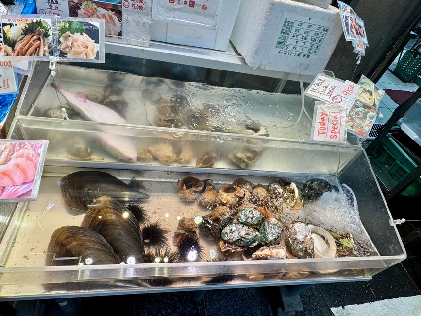 Part 9 Japan 🇯🇵 Osaka