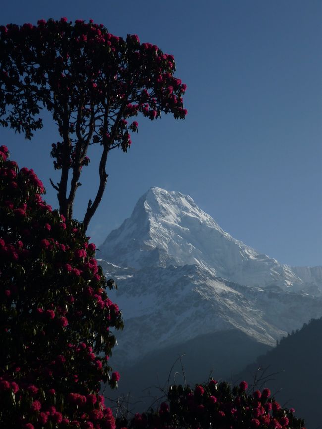 Hello Nepal