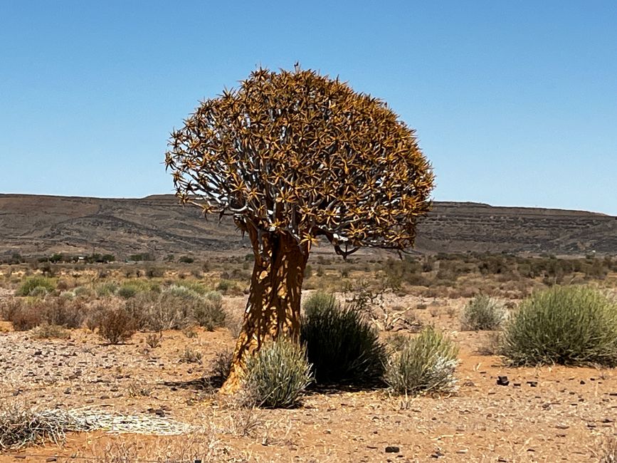 Direction Fish River Canyon