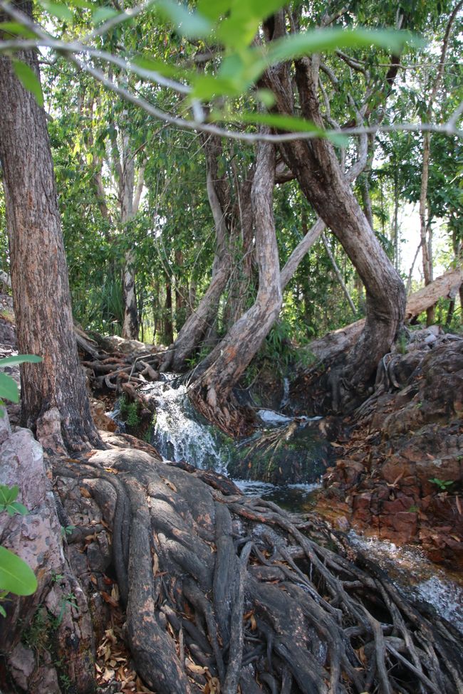 Day 27: On the road in Litchfield National Park