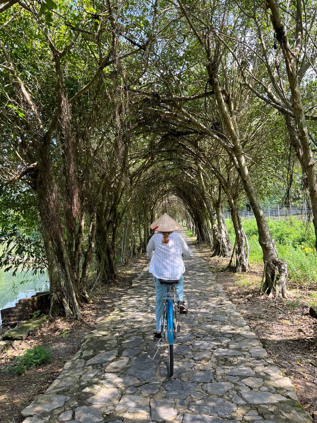 Eine volle Ladung Ninh Binh (Teil 1)