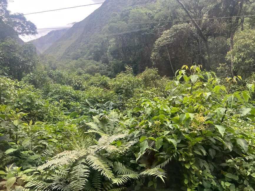 👷♂️Tag 30-2 (2.11.) Viaggio da Cusco ad Aguas Calientes ai piedi del Machu Picchu