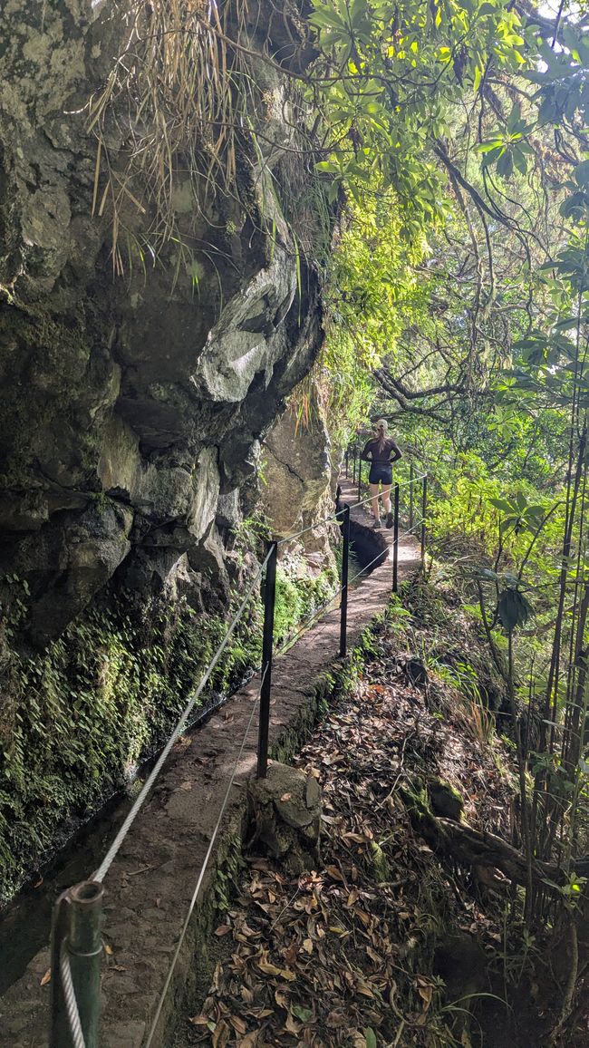 Tag 14: Levada do Caldeirão Verde & Nordküste