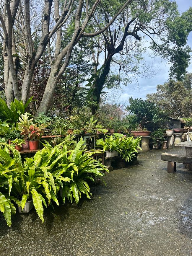 Gardentour III