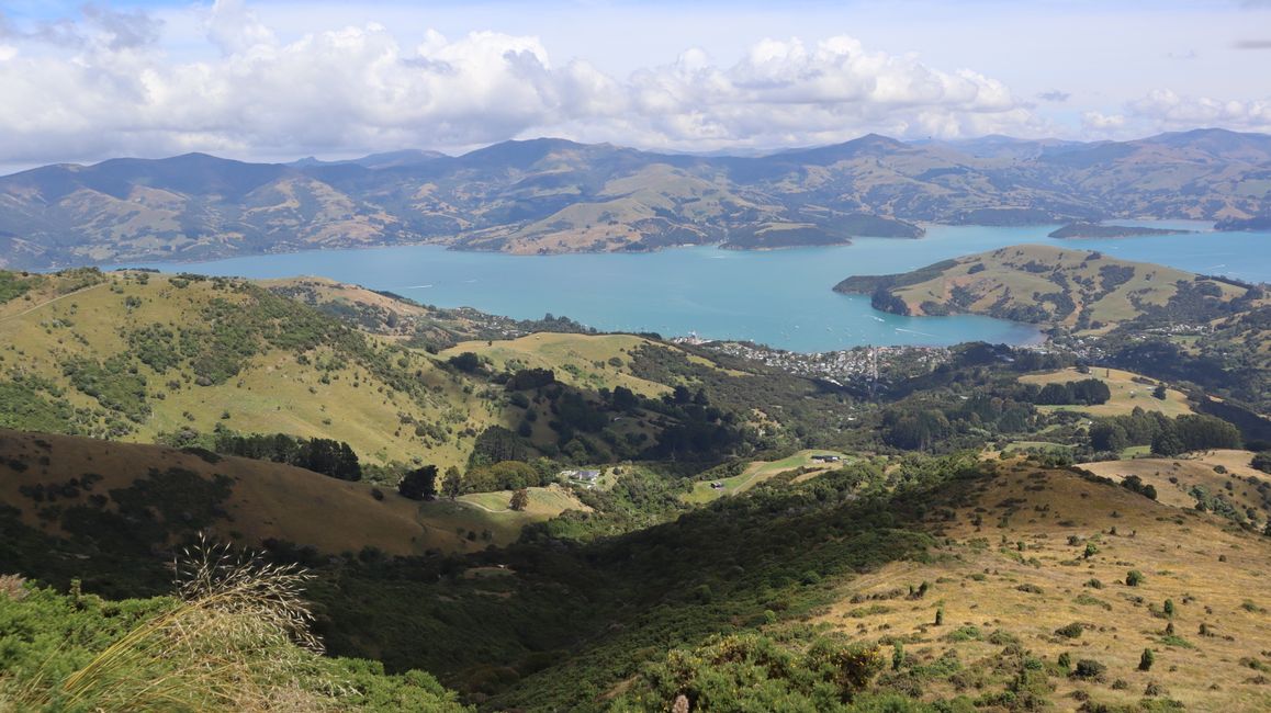 Akaroa