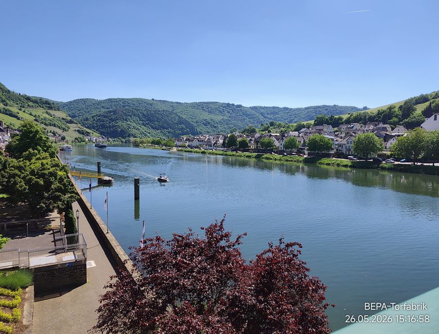 Ein , Arbeitstag ' für Herrchen an der Mosel 