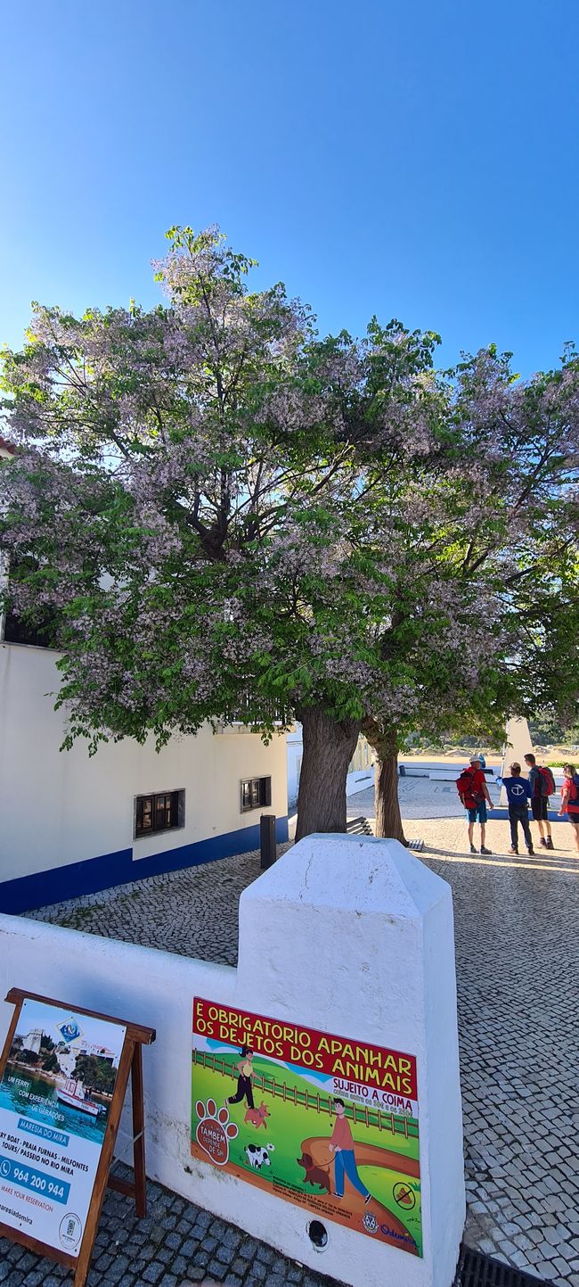 3. Etappe Vila Nova de Milfontes - Cavaleira