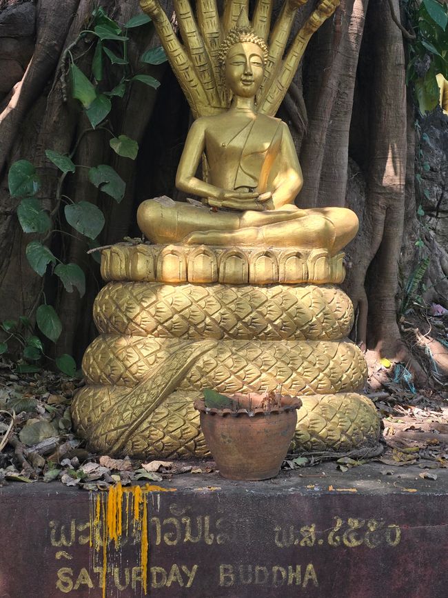 琅勃拉邦的寺庙