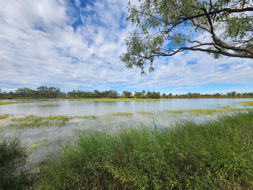 Tag 16, 10. Mai, Camooweal Billabong