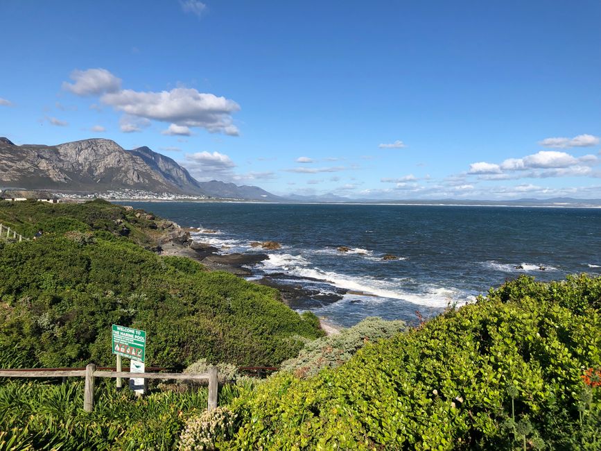 Entlang am Walweg von Hermanus