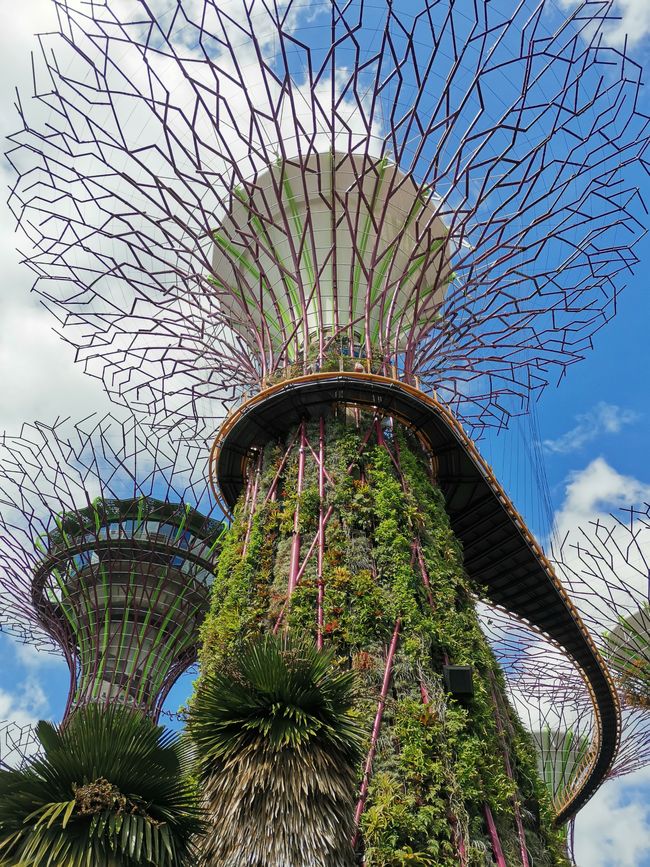 Singapur - Stadtstaat der Superlativen