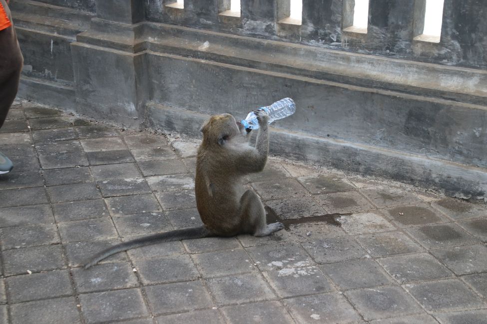 Day 11: Ubud and the Southern Tip of Bali
