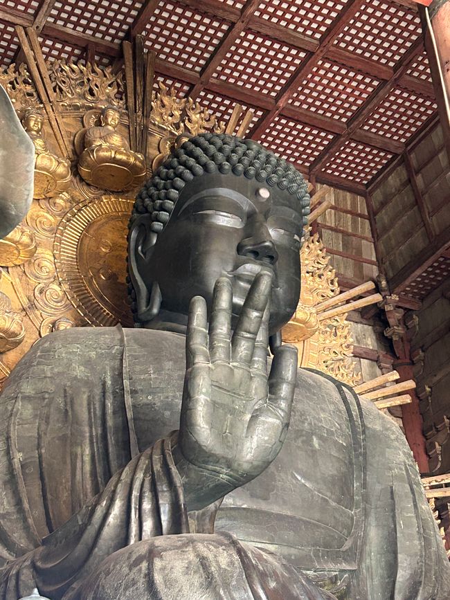 Nara - 10th day