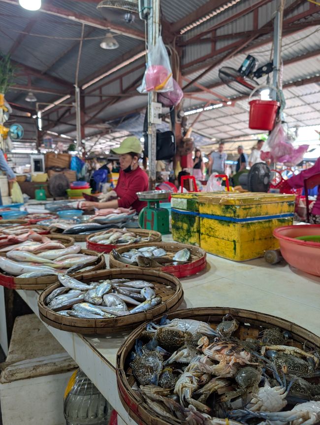 I go with my lantern...