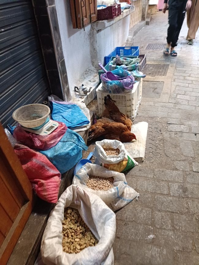 Verloren in der Medina