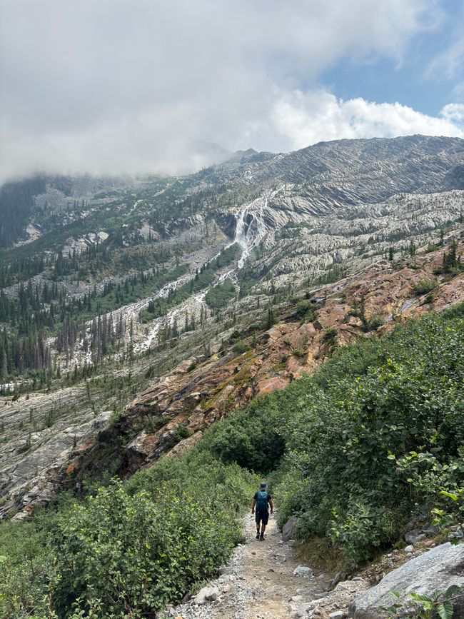 Tag 7 - Glacier Nationalpark