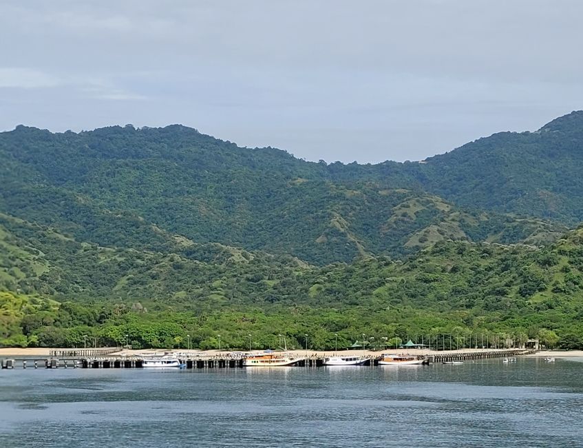 Day 110 of 175: Cruise around the world - Komodo/Indonesia