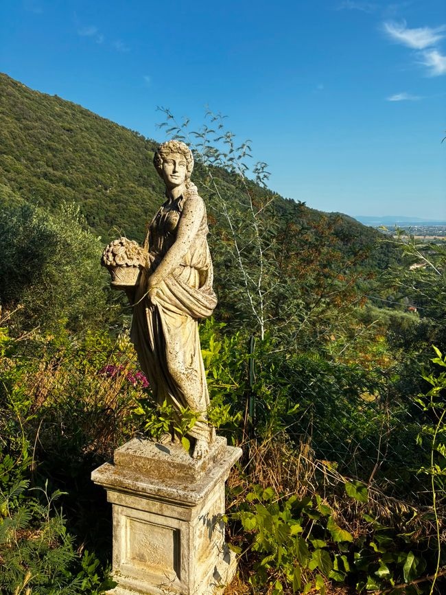 Statua