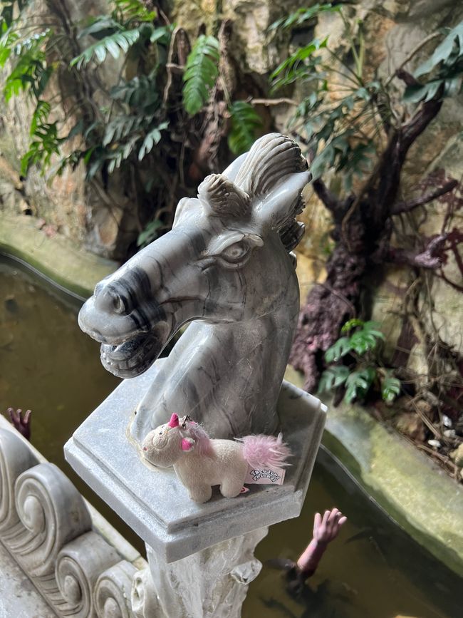 Tag 5 - Hoi An: Ein Tag mit Affen, Einhörnern und vielen Überraschungen