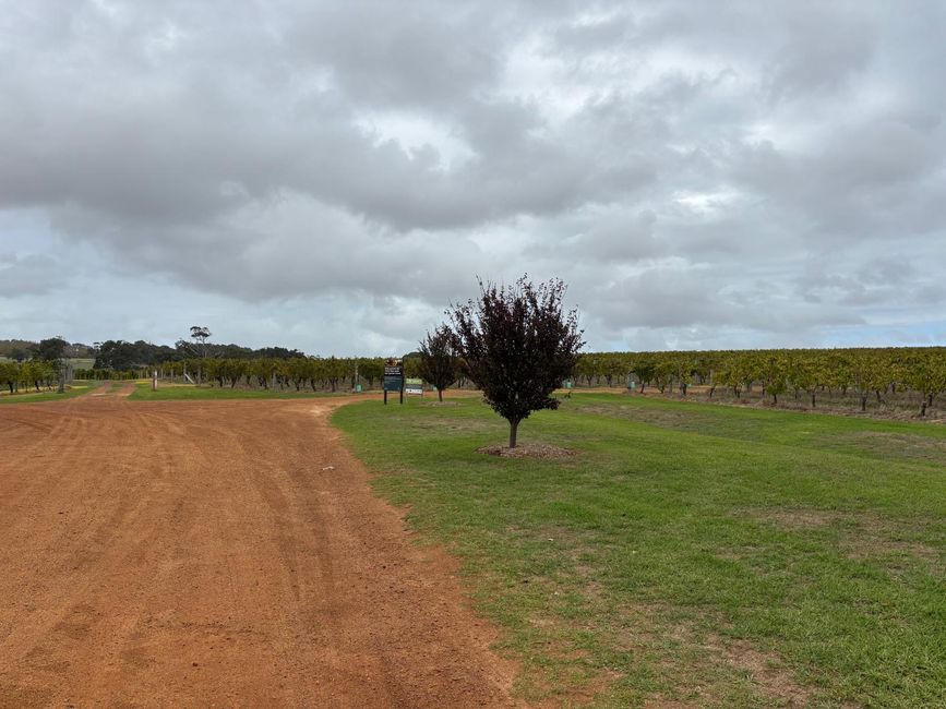 Margaret River