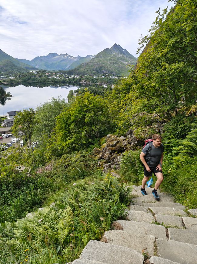 Lofoten I 