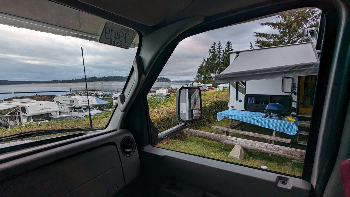 Etiqueta 12: Alder Bay - Observación de Ballenas en el Johnstone Strait