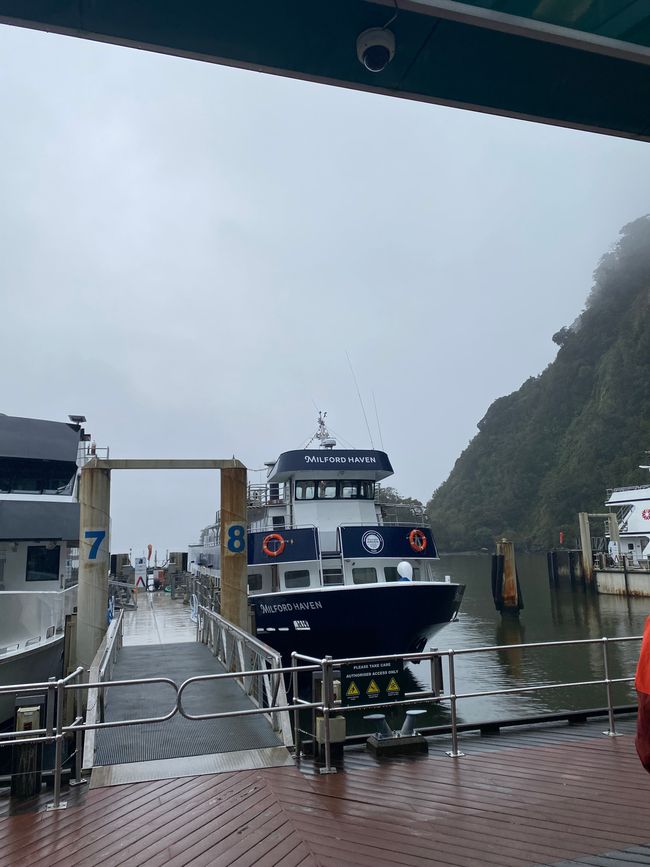 Road trip to Milford Sound