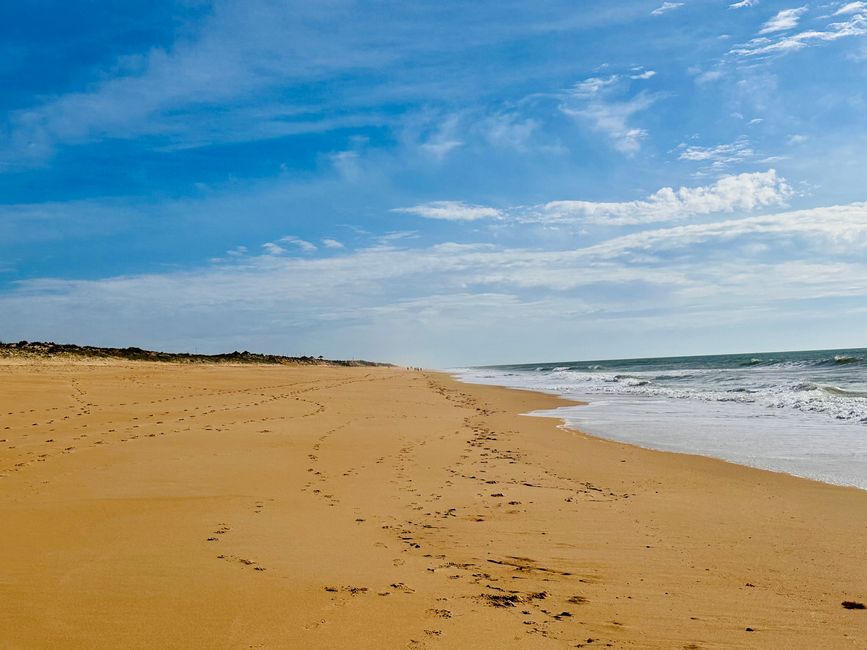 Von Praia do Garrão Nascente bis Praia do Ancão – Ein Strandspaziergang an der Algarve